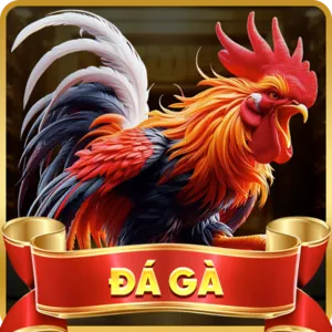 Trải nghiệm di động