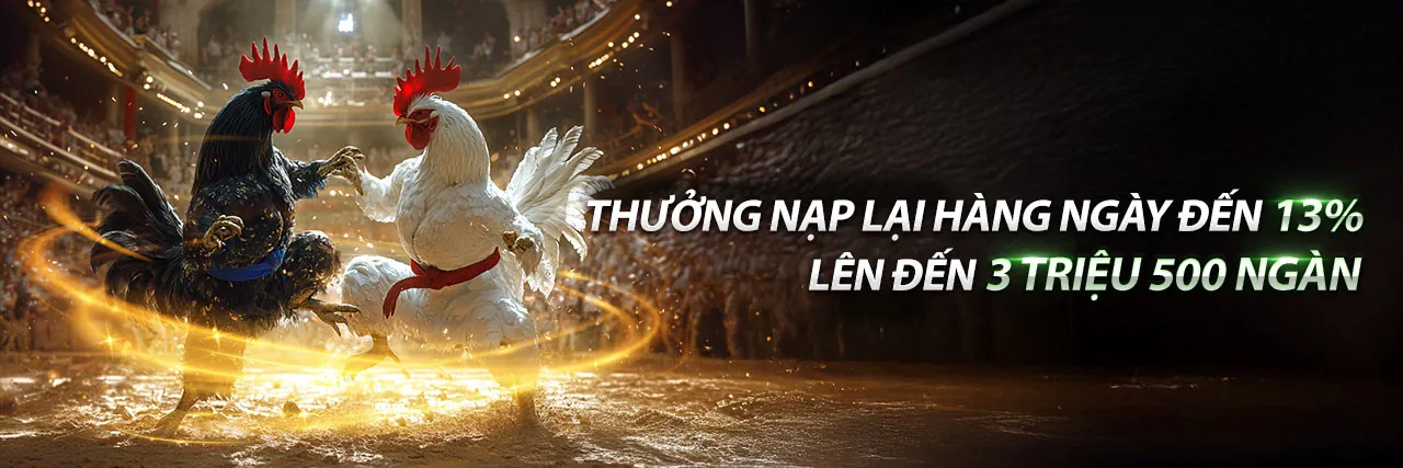 Đá gà trực tuyến kịch tính tại banca29 xổ số